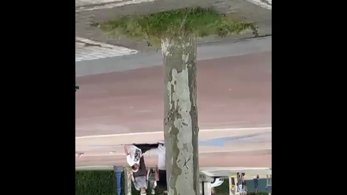 ¡Atención! Este vídeo contiene imágenes que pueden herir su sensibilidad.