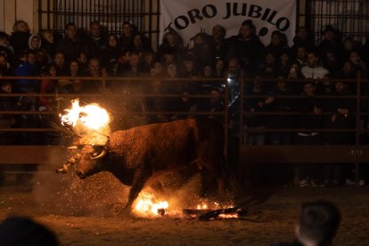 El Toro Jubilo de Medinaceli. SARA RONCAL