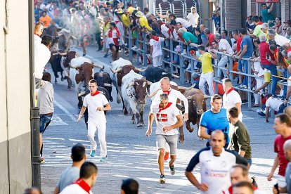 Encierro urbano en la localidad segoviana de Cuéllar en una foto de archivo.