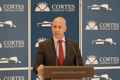 El portavoz del Grupo Parlamentario VOX, Carlos Menéndez, en una imagen de archivo.
