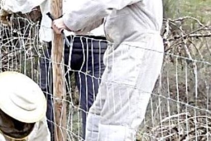 Apicultores aprenden a proteger sus colmenas de los osos en un curso de Fapas en Brañuelas (León). ICAL