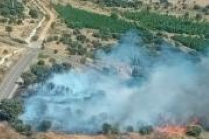 Incendio forestal cerca de Castrillo de los Polvazares (León)