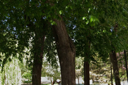 Parque de las Huertas del Obispo en Palencia