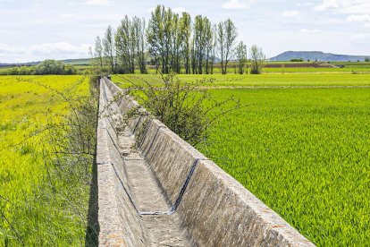 La modernización del Campillo de Buitrago sigue pendiente décadas después.