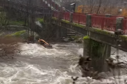 Imagen de la crecida del río Arenal a su paso por Arenas de San Pedro