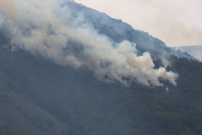 Varios medios aéreos y terrestres de la Junta de Castilla y León y del Gobierno de España, participan en la extinción del incendio de nivel 2 en el municipio de Boca de Huérgano (León).- ICAL