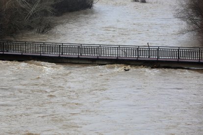 Crecida del río Bernesga a su paso por la capital leonesa. En la imagen, una de las pasarelas cortadas por precaución