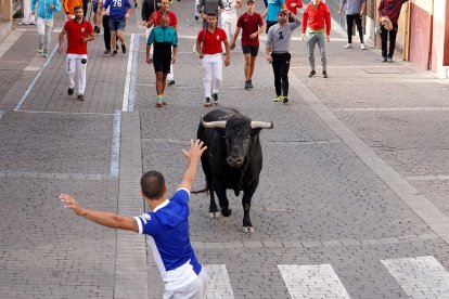 La villa de Cuéllar celebra el tercer encierro de sus fiestas en honor a la Virgen del Rosario, con toros de la ganadería de Fuente Ymbro.- ICAL