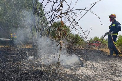 Incendio forestal declarado en solares de Villabalter, municipio de San Andrés del Rabanedo (León). - ICAL