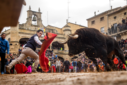 Carnaval del Toro en Ciudad Rodrigo. Vicente/ Ical