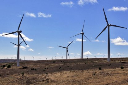 Aerogeneradores en un parque eólico de Castilla y León.- MARIO TEJEDOR