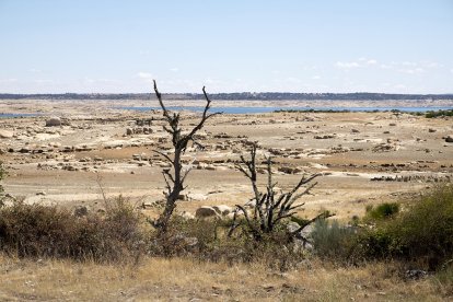 Estado del embalse de la Almendra por la sequía. - ICAL