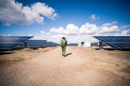 Planta solar de Iberdrola.