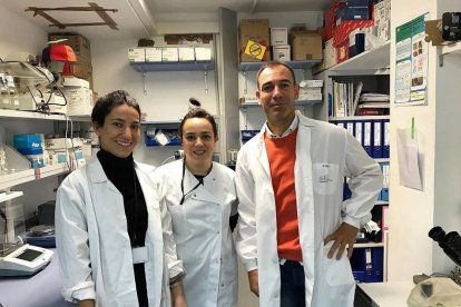 Manuel Sánchez junto a sus compañeras Patricia y Lucía en el laboratorio de Transgénesis de la Universidad de Salamanca. - E.M.