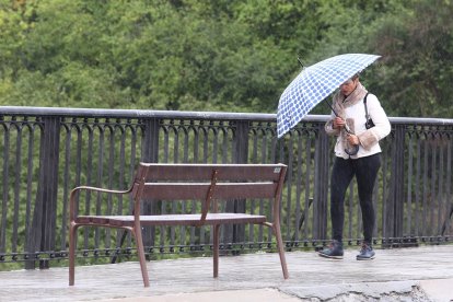 Temporal de viento y lluvia en el Bierzo.- ICAL