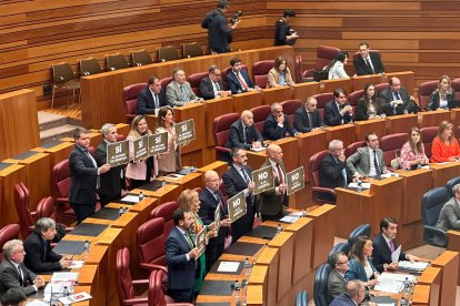 Los procuradores de VOX muestran carteles en contra de la amnistía al inicio del pleno.- E. M.