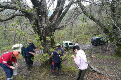 Agentes medioambientales y voluntarios extreman las medidas de seguridad. / JCYL