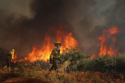 Un virulento incendio arrasa una zona arbolada con viviendas y líneas eléctricas entre San Andrés y Ferral del Bernesga (León).- ICAL