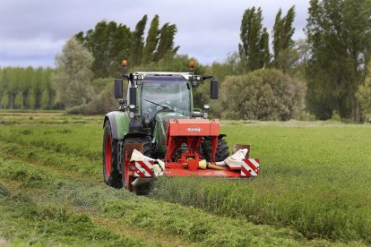 Un agricultor siega alfalfa en un campo de cultivo de la localidad palentina de Villanueva de los Nabos. - Brágimo