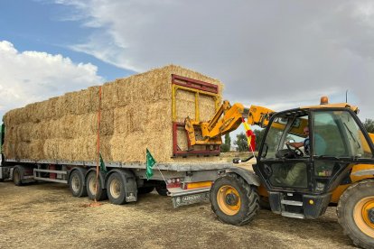 ASAJA Valladolid en colaboración con la JAL de Villabrágima envía dos camiones de paja