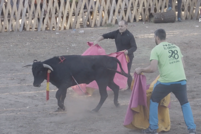 Becerrada en Vinuesa el 17 de agosto de 2022.- PACMA