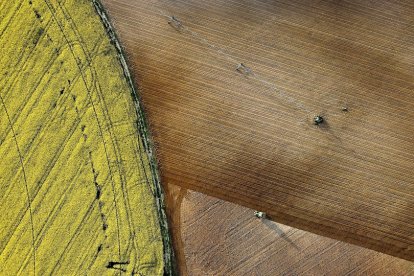 Vista aérea de distintas parcelas agrícolas / ENRIQUE CARRASCAL