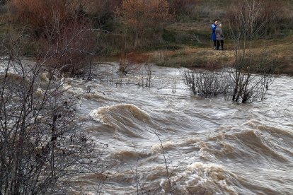 El caudal del Bernesga se acerca al desborde en algunos tramos de su cauce entre Villamanín y la capital leonesa.- ICAL