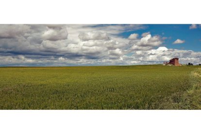 Campo agrario en una imagen de archivo. -MARIO TEJEDOR