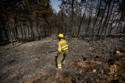 Imagen de archivo de un incendio en la comunidad. - ICAL