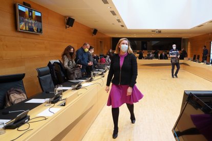 Isabel Blanco expone los Presupuestos de Familia. | ICAL