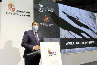 El presidente de la Diputación de Ávila, Carlos García. / ICAL