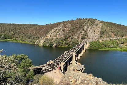 Un rebaño de 2.000 ovejas cruza el puente Quintos en la provincia de Zamora.- ICAL