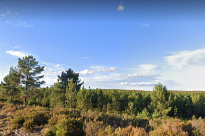 Robledo de Sanabria, cerca del del Centro del Lobo Ibérico.- GOOGLE