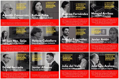 Los 12 diputados del PSOE de Castilla y León a los que alude el PP. PPCyL