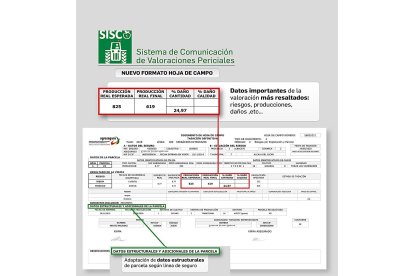 Nuevo aspecto de la ‘hoja de campo’ para las valoraciones de los siniestros con la aplicación ‘Sisco’. / AGROSEGURO