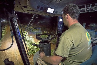 Un operario realiza una vendimia nocturna a máquina en una bodega de La Seca, de la DO Rueda. / PABLO REQUEJO