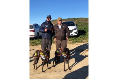 Las dos galgas de Castilla y León en cuartos de final del campeonato de España de galgos en campo. E.M.