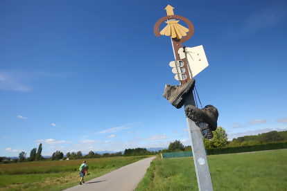 Un peregrino avanza por uno de los senderos del Camino de Santiago a su paso por El Bierzo.- ICAL