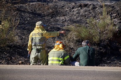 Medios terrestres y aéreos trabajan en la extinción de un incendio en San Andrés del Rabanedo (León).- ICAL