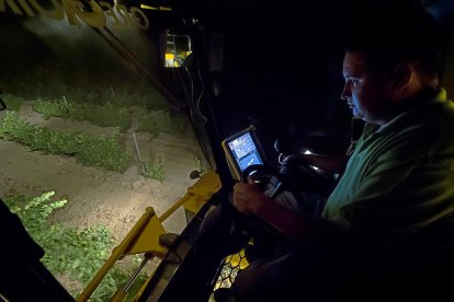 Un viticultor vendimia a máquina durante la noche en uno de los viñedos acogidos a la Denominación de Origen Rueda, en la localidad vallisoletana de Matapozuelos. / MIGUEL ÁNGEL SANTOS