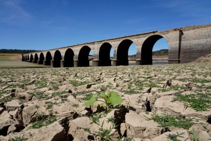 Bajada de la cota de agua del embalse de Ricobayo. - ICAL