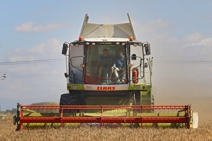 Una explotación agrícola en una imagen de archivo.- E.M.