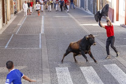 La villa de Cuéllar celebra el cuarto encierro, declarados Fiesta de Interés Turístico Internacional, con toros de la ganadería de Valdemoro.- ICAL