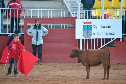 Escuela de Tauromaquia de Salamanca .-DIPUTACIÓN DE SALAMANCA