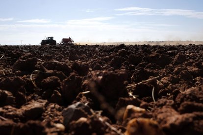 Arado y acondicionamiento de terreno en una explotación agrícola de la provincia de Salamanca. - Enrique Carrascal