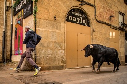 Carnaval del Toro de Ciudad Rodrigo en Salamanca.- ICAL