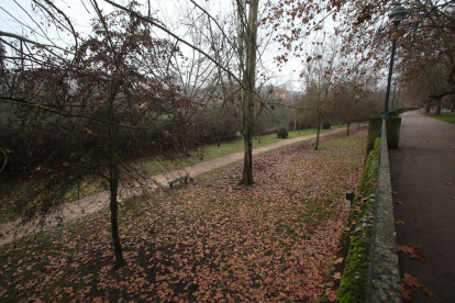 La búsqueda de la menor se ha centrado en el entorno del río Sil en Ponferrada durante las primeras horas. L. DE LA MATA/ Diario de León