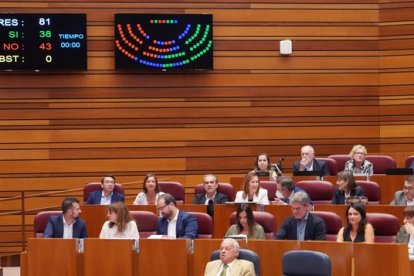 Votación en el pleno de las Cortes.- ICAL