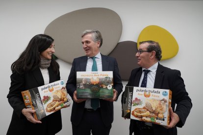 El presidente de Cascajares, Alfonso Jiménez, presenta el proyecto 'Ave Fénix', la iniciativa solidaria con la que la empresa pretende contribuir a la repoblación de la sierra de la Culebra (Zamora). -ICAL.