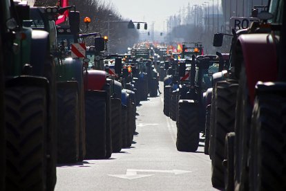 Imágenes de la tractorada este viernes en León. -ICAL